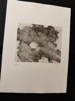 Lithographie « Forme aberrante » 28/100 M.Crot
